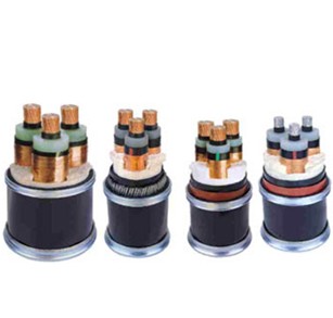 高壓電線(xiàn)電纜